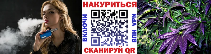 магазин продажи наркотиков  Балей  Конопля VHQ 